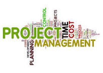 CON International: Program & Project Management